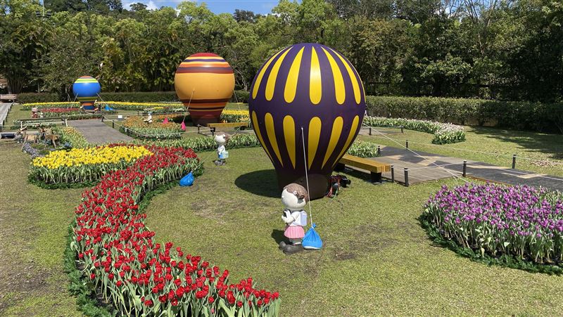 士林官邸鬱金香展　擁抱11萬株花海