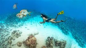 名家專用／草根影響力新視野（勿用）