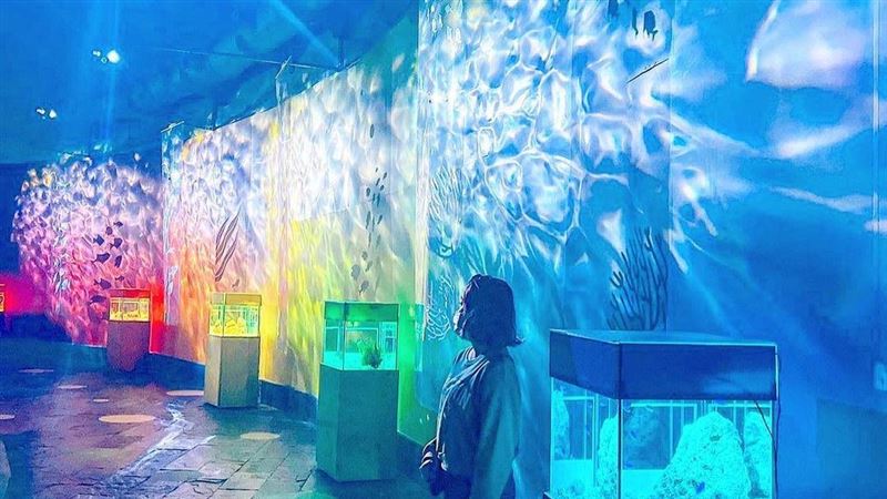 連假療癒小旅行「海洋本色」活動倒數