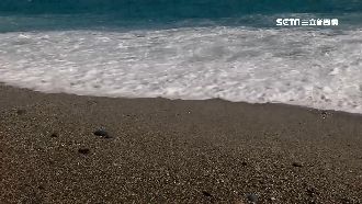 七星潭疊石打卡夯！鵝卵石大減變沙灘