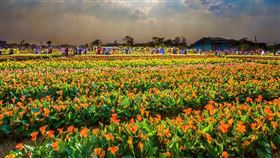 名家專用／台灣旅行趣（勿用）