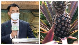 農委會主委陳吉仲。