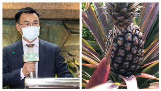 台灣鳳梨有害？農委會駁斥：不實錯誤
