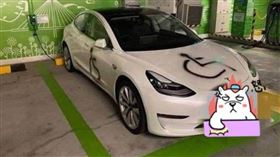 ▲特斯拉停在綠色停車格被噴漆。（圖／翻攝自爆笑公社）