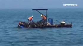 文 海當垃圾場1200