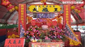 ▲三萬多台斤的大龜王。（圖/寶島神很大）