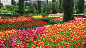 名家專用／台灣旅行趣（勿用）