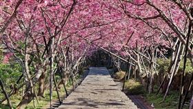 ▲（圖／翻攝自台灣旅行趣）