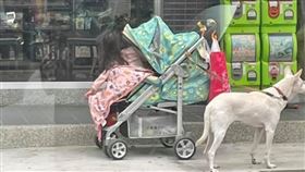 門口,狗狗,家長,便利超商,小孩（圖／翻攝自爆廢公社二館）