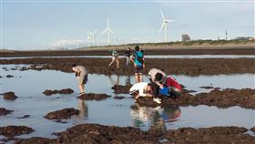 （圖／翻攝自「珍愛桃園藻礁」臉書）