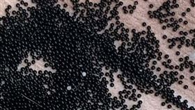 昆蟲專家查看後，認為這些「小黑珍珠」應該是飛蛾的卵，建議這位母親最好馬上清除。（圖／翻攝自reddit討論區）