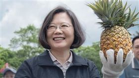 蔡英文號召吃鳳梨（圖／翻攝自蔡英文臉書）