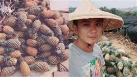 鳳梨被陸暫停輸入　30歲青農吐心聲：一顆70元真的不貴（圖／黃于書授權提供）