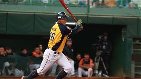 ▲中信兄弟黃韋盛。（圖／中信兄弟球團提供）