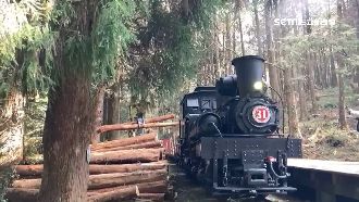 睽違57年　阿里山蒸汽火車再運木材
