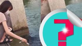 正妹餵烏龜、魚群時，突然竄出一隻「澤巨蜥」，嚇得她尖叫跳起，其他生物也四處逃竄。（圖／翻攝自「Apple Jetski Ple」臉書）