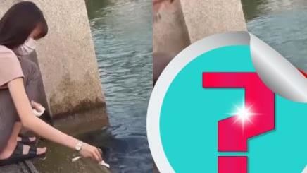 正妹餵烏龜突見巨獸！淒厲尖叫後剩牠