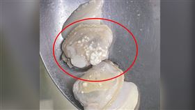 蛤蜊煮熟竟長「菜花」？網歪樓：私生活不檢點啦　真相曝光（圖／翻攝自爆系知識家）