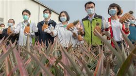 蔡英文訪視「大樹區鳳梨農友」。（圖／總統府提供）