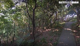 桃園虎頭山步道 翻攝google map