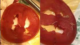 Ｄ能卡／subway番茄有蛆！（圖／翻攝自Dcard）