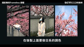 陽明山賞櫻！5撇步讓照片質感UP