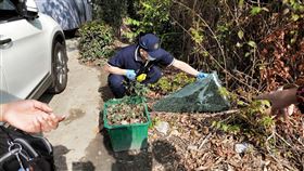 破窗,竊盜,林園分局