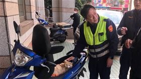 新北,瑞芳,便當店,阿咪,招財貓,竊盜（圖／翻攝畫面）