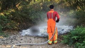 桃園,燒狗,蘆竹,山區,olulu,（圖／邵柏虎授權提供）