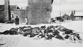 1910年中國東北發生大規模鼠疫。（圖／翻攝自百度百科）