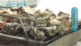 旅行東西軍,台灣鄉村旅遊協會,溪南休閒農業區,金湖休閒農業區/翻攝自影片(業配勿用)
