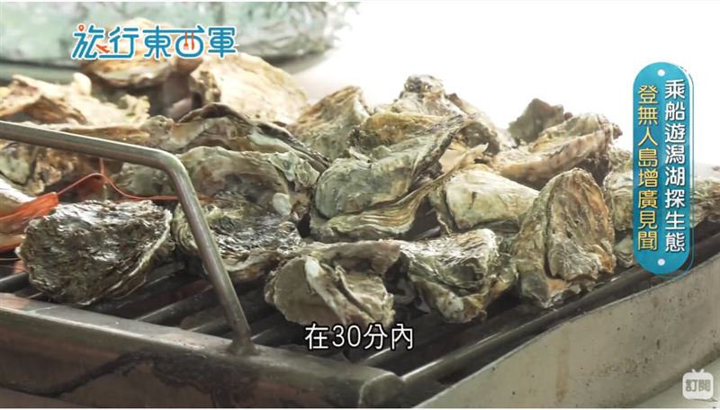 揭開台海味地圖　30分鐘鮮蚵吃到飽