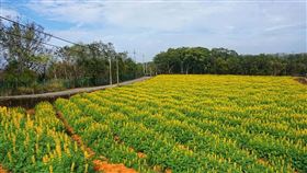 名家專用／台灣旅行趣（勿用）