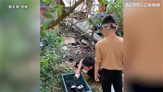 兄弟鑽洞穴神救援　接力拉出14奶狗