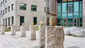 鳳梨,AIT,台灣鳳梨。（圖／翻攝自美國在台協會AIT臉書）