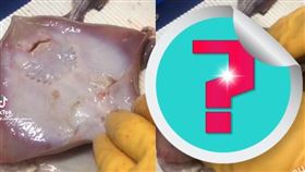 漁夫輕撫赤魟寶寶，沒想到牠的反應讓人超震驚。（圖／翻攝自christianhofstedt抖音）