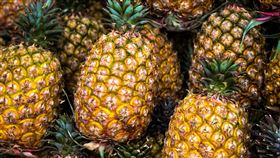 鳳梨內外銷逾4萬公噸　超越去年銷中國總量農委會日前呼籲全民購買鳳梨幫助農民補足外銷中國大陸的缺口，2日公布迄今國內外團購及個人訂購、加工需求及外銷累計4萬1687公噸，已超過去年銷中數量。中央社記者王騰毅攝  110年3月2日