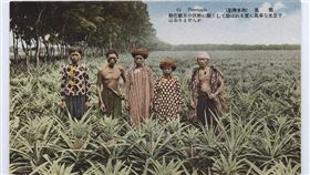 開放博物館 提供 （使用一定要有註明出自此處）