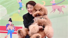 黃珊珊緊抱治療犬台北市副市長黃珊珊3日在古亭狗活動區開放啟用儀式上，緊摟著出席活動的治療犬。中央社記者王飛華攝  110年3月3日