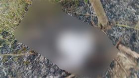 雜草,燒,竹林,老翁,濃煙,（圖／翻攝畫面）