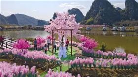 小許為挽回女友的心，砸下數十萬打造出「情侶島」（圖／翻攝自《紫牛新聞》）