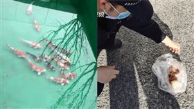 圖／翻攝自021視頻