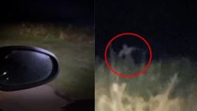 男子夜晚行經郊區時，發現草叢竄出一個身影。（圖／翻攝itz_louisvuitton抖音）