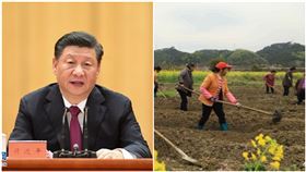 習近平剛喊「全國脫貧」！下秒農民見1公告傻了：只會更慘（圖／翻攝自我愛融安微博）