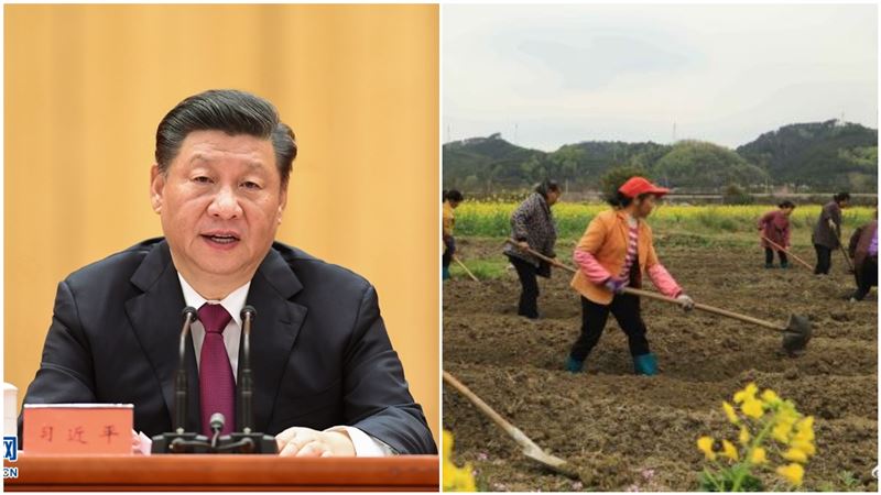 才剛喊「脫貧」中國農民見1公告傻了