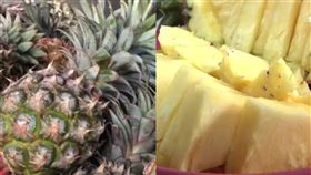鳳梨,營養素,甘蔗鳳梨,高敏敏,營養師。（圖／資料照）