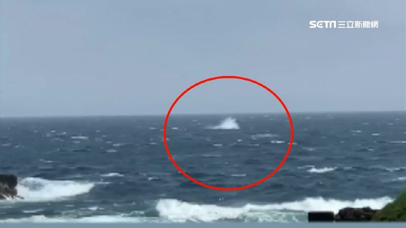 遇超大「鯨」喜　大翅鯨出沒綠島近海
