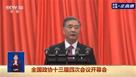 中國全國政協主席汪洋▲。（圖／翻攝自央視新聞微博）