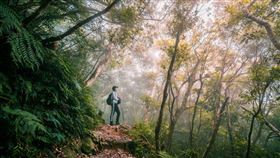 （圖／Tripbaa趣吧！達人帶路）