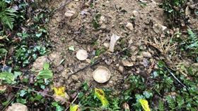 後院挖竹筍見土色瓷碗！他送去鑑定　驚「是春秋時期寶物」（圖／翻攝自網易新聞）